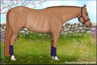 Horse Color:Chestnut Rabicano 