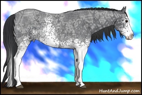 Horse Color:White Spotted Blue Ice Roan Splash Rabicano