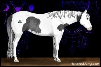 Horse Color:Black Sabino Splash Tobiano Rabicano 