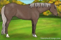 Horse Color:Silver Black 