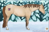 Horse Color:Bay Pearl Dun Rabicano