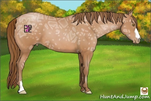 Horse Color:Bay Ice Pearl 