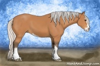 Horse Color:Silver Bay Sabino