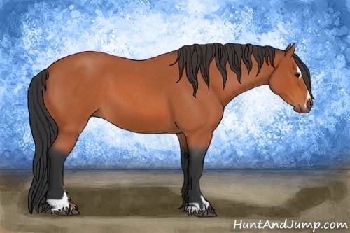 Horse Color:Bay Roan Sabino