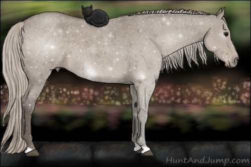 Horse Color:Silver Grullo Roan 