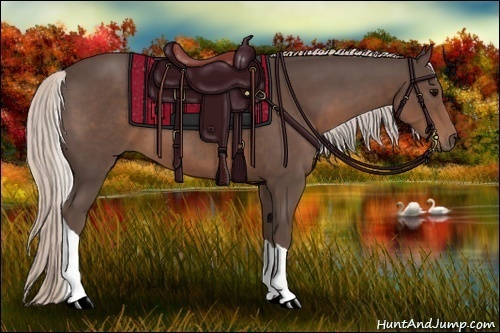 Horse Color:Silver Black Tobiano Rabicano 