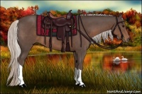 Horse Color:Silver Black Tobiano Rabicano 