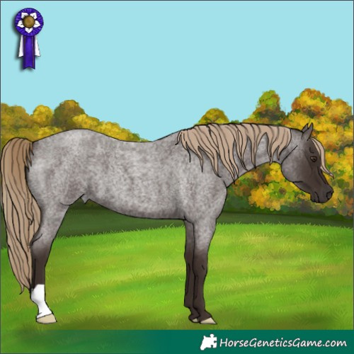Horse Color:Liver Red Roan 