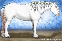 Horse Color:White Spotted Red Roan Blanket