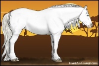 Horse Color:Gold Cream Champagne Roan Dun Splash Tobiano Frame Varnish Rabicano 