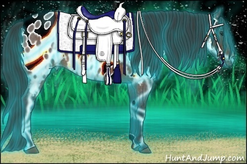 Horse Color:Thunderstruck Bay Roan Appaloosa 