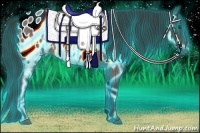 Horse Color:Thunderstruck Bay Roan Appaloosa 