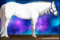 Horse Color:Liver Red Roan Sabino Frame Blanket Rabicano