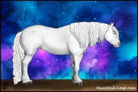 Horse Color:Chocolate Palomino Pearl Sabino Appaloosa