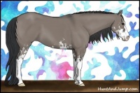 Horse Color:Grullo Sabino 