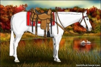 Horse Color:Silver Amber Champagne Splash Frame Blanket Rabicano 