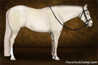 Horse Color:Chocolate Palomino Pearl Dun Sabino Rabicano