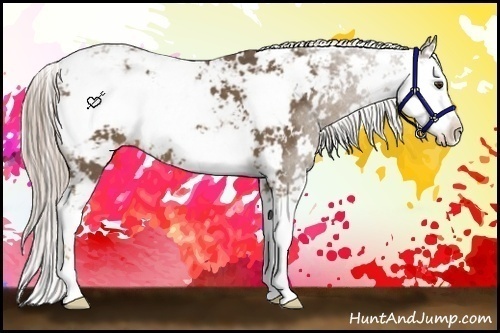 Horse Color:Chocolate Palomino Sabino