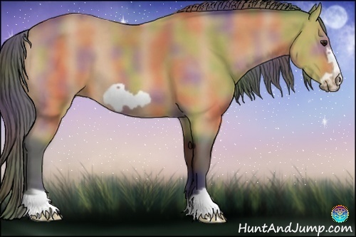 Horse Color:Nacre Buckskin Frame 