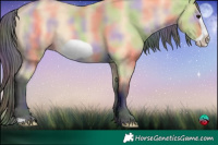 Horse Color:Nacre Buckskin Frame 