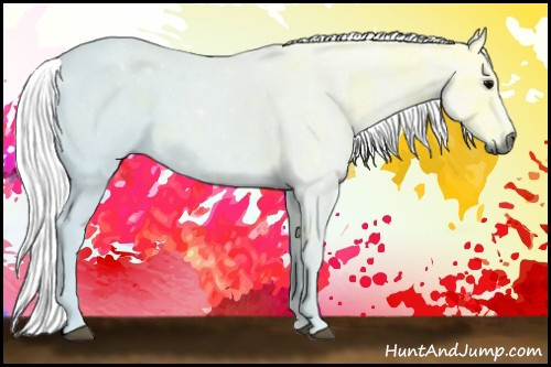 Horse Color:Gray Watercolor Grullo Ice 