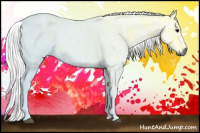 Horse Color:Gray Watercolor Grullo Ice 