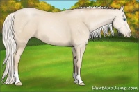 Horse Color:Silver Smoky Black Pearl 