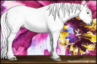 Horse Color:Gray Blue Roan Splash 