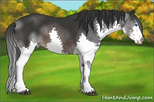 Horse Color:Brown Splash