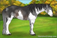 Horse Color:Brown Splash