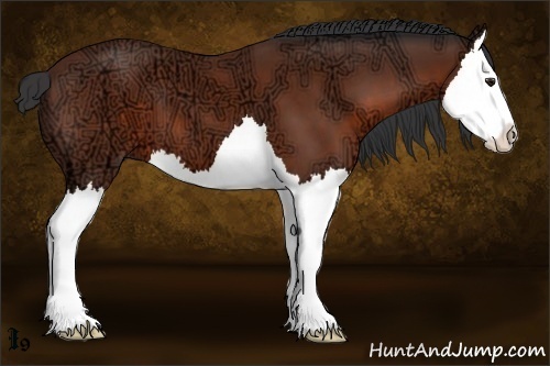 Horse Color:Bay Ice Splash 