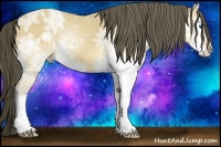 Horse Color:Amber Cream Champagne Ice Splash 