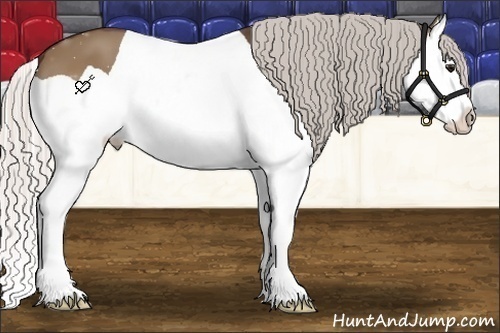 Horse Color:Silver Bay Dun Splash 