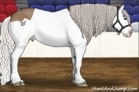 Horse Color:Silver Bay Dun Splash 