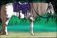 Horse Color:White Spotted Liver Chestnut Frame