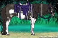 Horse Color:White Spotted Liver Chestnut Frame