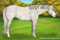 Horse Color:Silver Smoky Grullo Ice Sabino Rabicano 