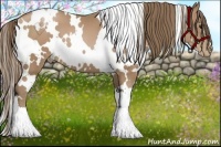 Horse Color:White Spotted Black Pearl 