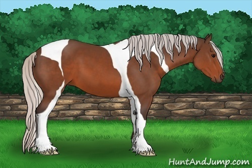 Horse Color:Silver Brown Tobiano 