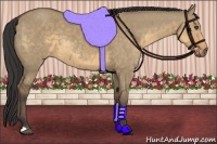 Horse Color:Buckskin Dun 