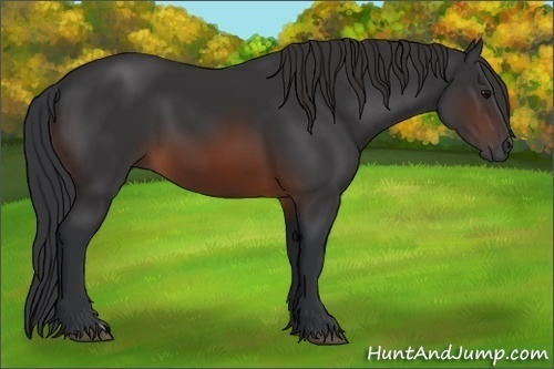 Horse Color:Brown 