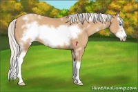 Horse Color:White Spotted Silver Amber Champagne Sabino Splash Frame 