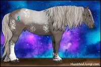 Horse Color:White Spotted Silver Black Tobiano 