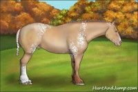 Horse Color:White Spotted Silver Classic Champagne Sabino