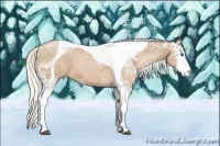 Horse Color:White Spotted Silver Black Ice Pearl Splash Tobiano