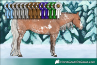 Horse Color:White Spotted Silver Bay Ice Sabino Splash 