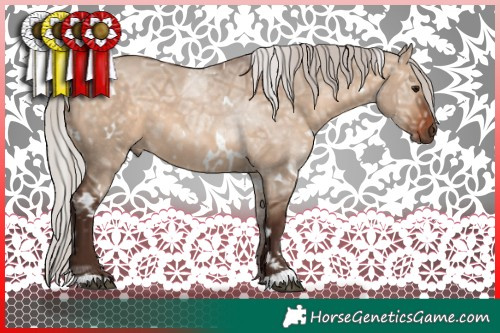 Horse Color:White Spotted Silver Brown Ice Dun Sabino 