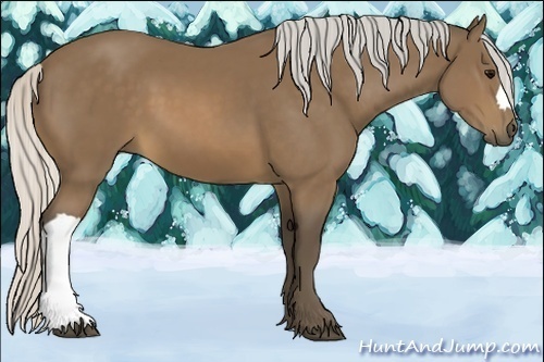 Horse Color:Silver Buckskin 