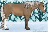 Horse Color:Silver Buckskin 