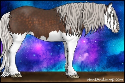 Horse Color:Silver Bay Splash 